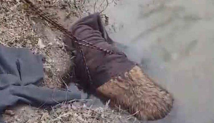 На березі річки чоловік помітив граючих бобрів, але потім зрозумів, що це не бобри